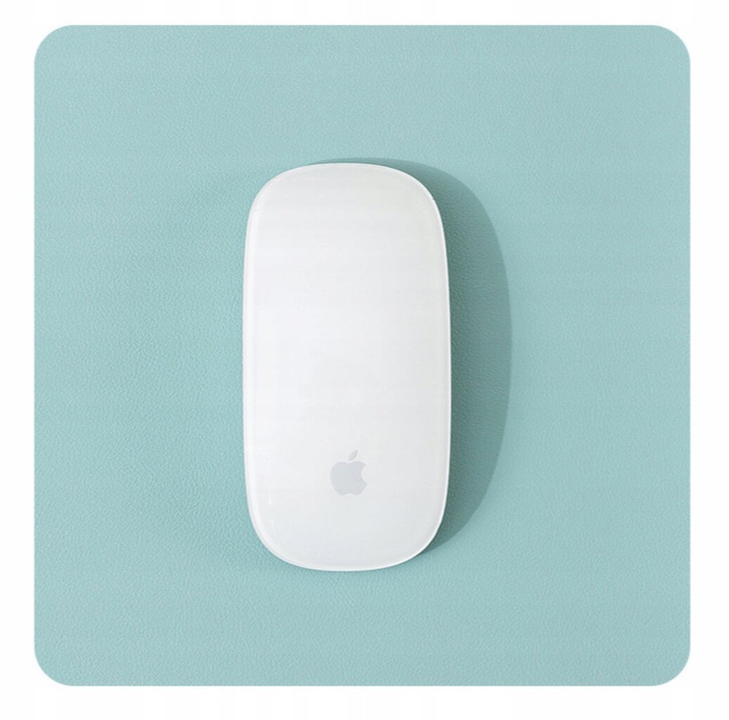 Pelės kilimėlis APPLE MAGIC MOUSE цена и информация | Pelės | pigu.lt