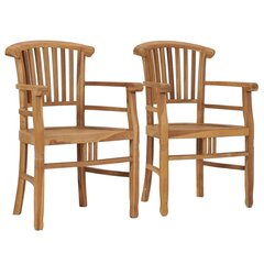 Sodo kėdės, 2vnt., rudos kaina ir informacija | Lauko kėdės, foteliai, pufai | pigu.lt
