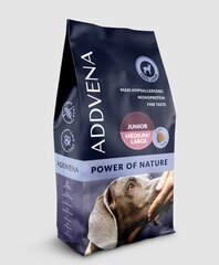 Addena Power of Nature Junior Medium&Large su ėriena, 10 kg kaina ir informacija | Sausas maistas šunims | pigu.lt