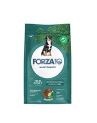 Forza10 Maxi Adult Maintenance Venison Potato didelių veislių šunims, 12 kg цена и информация | Сухой корм для собак | pigu.lt