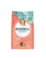 Forza10 Light All Breeds Maintenance Tuna Rice antsvorio turintiems šunims, 12 kg kaina ir informacija | Sausas maistas šunims | pigu.lt