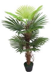 Dirbtinė Palmė 120cm Jws3077 kaina ir informacija | Dirbtinės gėlės | pigu.lt