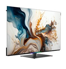 METZ 55 colių MOD 9500 Z OLED SMART 4K televizorius juodas kaina ir informacija | Televizoriai | pigu.lt