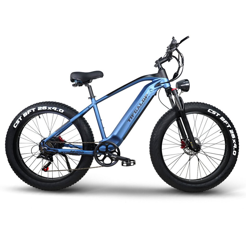 Elektrinis dviratis Tifgalop ES28 26", mėlynas kaina ir informacija | Elektriniai dviračiai | pigu.lt