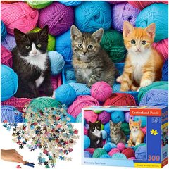 Dėlionė kačiukai 300 dalių , castorland kaina ir informacija | Dėlionės (puzzle) | pigu.lt