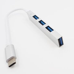 TYPE-C - USB šakotuvas StoreGD kaina ir informacija | Nešiojami kompiuteriai | pigu.lt