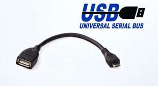 Perėjimas MICRO USB į USB (HOST OTG) StoreGD kaina ir informacija | Nešiojami kompiuteriai | pigu.lt