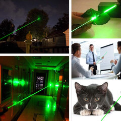 Мощный фокусируемый зеленый лазер ProLine ProLine цена и информация | Выключатели, розетки | pigu.lt