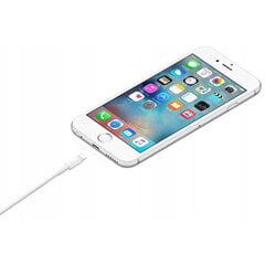 CO2 ЗАРЯДНОЕ УСТРОЙСТВО КОРОТКИЙ USB-C КАБЕЛЬ БЫСТРОЙ ЗАРЯДКИ ДЛЯ IPHONE LIGHTNING 0.5M цена и информация | Кабели для телефонов | pigu.lt