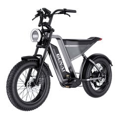 Elektrinis kalnų dviratis Gunai-Y 20", juodas kaina ir informacija | Elektriniai dviračiai | pigu.lt