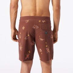 Billabong Sundays Pro boardshorts brown kaina ir informacija | Maudymosi šortai, glaudės | pigu.lt