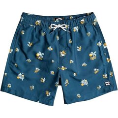 Vaikiški "Billabong Salty Lb boardshort" maudymosi šortai kaina ir informacija | Maudymosi šortai, glaudės | pigu.lt