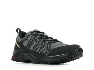 X braze salomon l47180000 vīriešiem pilka men's grey L47180000 цена и информация | Мужские шлепанцы, босоножки | pigu.lt