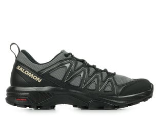 X braze salomon l47180000 vīriešiem pilka men's grey L47180000 цена и информация | Мужские шлепанцы, босоножки | pigu.lt