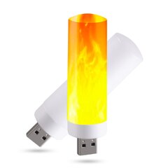 Usb liepsnos imitacijos Led цена и информация | Уличные светильники | pigu.lt