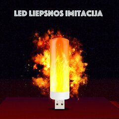 Usb liepsnos imitacijos Led цена и информация | Уличные светильники | pigu.lt