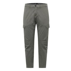 Vyriškos "Tom Tailor Cargo Trawis Regular" kelnės цена и информация | Mужские джинсы Only & Sons Loom 5714910844399 | pigu.lt