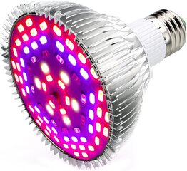 Esbaybulbs L22 LED augalų lempa kaina ir informacija | Daigyklos, lempos augalams | pigu.lt