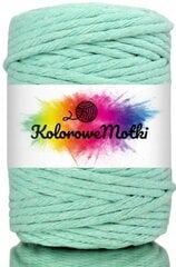 Macrame medvilninė virvė 5mm, 50m vienos gijos pasukimo, KoloroweMotki, Mėtų kaina ir informacija | Nėrimo priemonės | pigu.lt