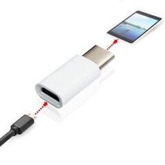 USB 3.1 Type C į Micro USB 2.0 5Pin perėjimas цена и информация | Игровые приставки | pigu.lt