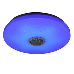 LED lubinis šviestuvas BLUETOOTH garsiakalbis RGB 72W 50cm kaina ir informacija | Lubiniai šviestuvai | pigu.lt