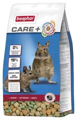 Пищевой продукт Degu Beaphar Care+, 700 г цена и информация | Корм для грызунов | pigu.lt