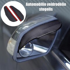 Automobilio veidrodėlio stogelis Carbon цена и информация | Автопринадлежности | pigu.lt