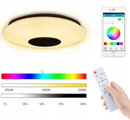 Светодиодный потолочный светильник RGB Цветной динамик Bluetooth 60 Вт + приложение SMART с дистанционным управлением цена и информация | Потолочные светильники | pigu.lt