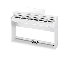 Skaitmeninis pianinas Casio AP-S450WEC7 Celviano serija kaina ir informacija | Klavišiniai muzikos instrumentai | pigu.lt