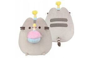 PUSHEEN su tortu kepurėje 27cm GIMTADIENIO VAKĖLIS kaina ir informacija | Minkšti (pliušiniai) žaislai | pigu.lt