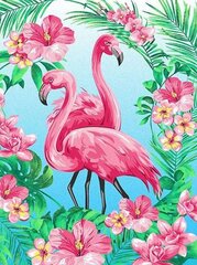 Tapyba pagal skaičius, paveikslas - flamingai 40x50cm цена и информация | Живопись по номерам | pigu.lt