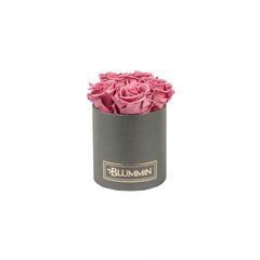 Stabilizuotos rožės Blummin – Midi dark grey / Vintage pink kaina ir informacija | Miegančios rožės, stabilizuoti augalai | pigu.lt