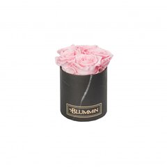Stabilizuotos rožės Blummin – Midi black marble / Bridal pink kaina ir informacija | Miegančios rožės, stabilizuoti augalai | pigu.lt