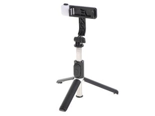 Asmenukių lazda selfie sticks , ikonk kaina ir informacija | Priedai fotoaparatams | pigu.lt