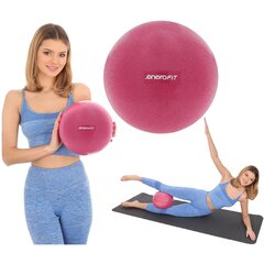 Fitneso pilates lankas, 25 cm, rožinis, Enero Fit kaina ir informacija | Daugiafunkciniai treniruokliai | pigu.lt