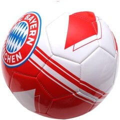 Futbolo kamuolys Bayern Munchen R.5 kaina ir informacija | Futbolo kamuoliai | pigu.lt