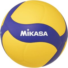 MIKASA V430W МИНИ-ВОЛЕЙБОЛЬНЫЙ МЯЧИК цена и информация | Волейбольные мячи | pigu.lt