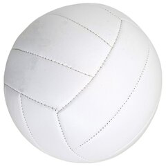 Paplūdimio tinklinio kamuolys Enero Pro Beach baltas kaina ir informacija | Tinklinio kamuoliai | pigu.lt