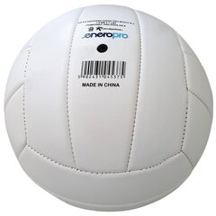 Paplūdimio tinklinio kamuolys Enero Pro Beach baltas kaina ir informacija | Tinklinio kamuoliai | pigu.lt