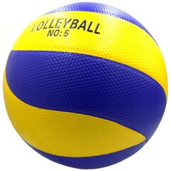 Tinklinio Kamuolys Rekreacinis Volleyball kaina ir informacija | Tinklinio kamuoliai | pigu.lt