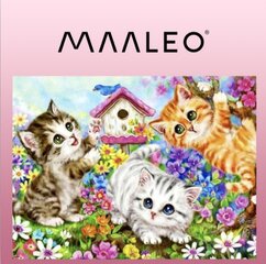 Tapyba pagal skaičius 40x50cm - Maaleo cats 22781 kaina ir informacija | Piešimo, tapybos, lipdymo reikmenys | pigu.lt