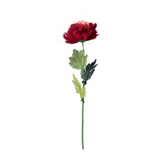 Dirbtinė gėlė chrizantema, 66 cm kaina ir informacija | Dirbtinės gėlės | pigu.lt