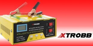 Зарядное устройство Xtrobb 12 В/24 В цена и информация | Зарядные устройства для аккумуляторов | pigu.lt