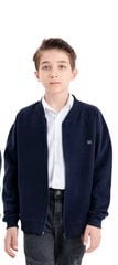 Джемпер детский, синий цена и информация | Свитеры, жилетки, пиджаки для мальчиков | pigu.lt