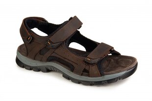 Vyriški sandalai BADEN B24162011044399 kaina ir informacija | Vyriškos šlepetės, basutės | pigu.lt