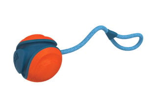 Žaislas šunims Chuckit! Rope Fetch kamuoliukas, 13 cm, mėlynas/oranžinis kaina ir informacija | Žaislai šunims | pigu.lt