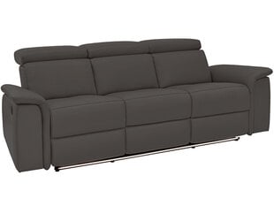 Sofa-reglaineris Loft24, ruda kaina ir informacija | Sofos | pigu.lt