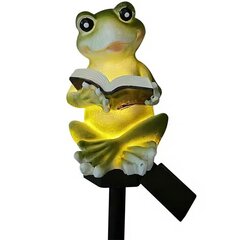 LED sodo šviestuvas Frog, 1 vnt. цена и информация | Уличные светильники | pigu.lt