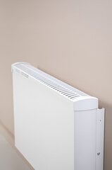 Elektrinis radiatorius Adax VPS1010 BT, 1000 W цена и информация | Обогреватели | pigu.lt