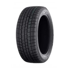 PROFIL 195/65R15 91H WINTERMAXX Restauruota padanga kaina ir informacija | Žieminės padangos | pigu.lt